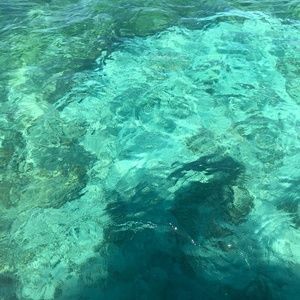 Meet your Posher, Elise